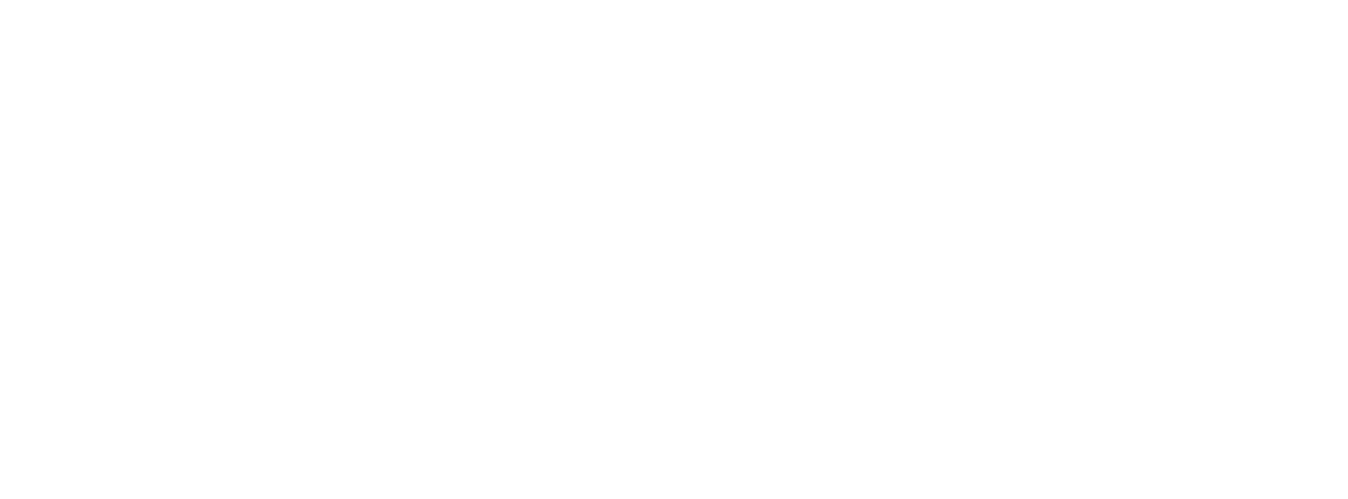Youth Champions